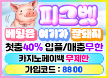 최고안전놀이터"피그벳"홀덤사이트